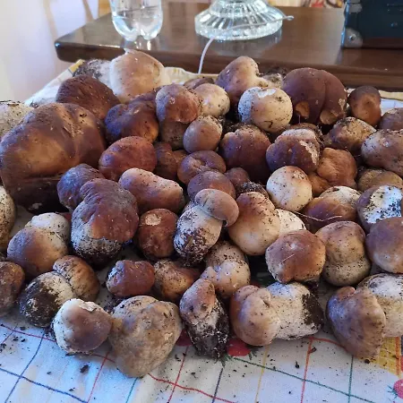 Taro Santa Maria del Taro