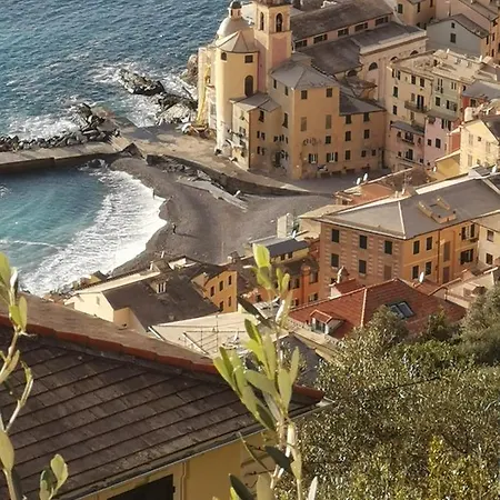 Taro Daire Santa Maria del Taro