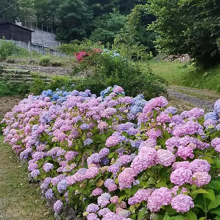 Daire Taro Santa Maria del Taro