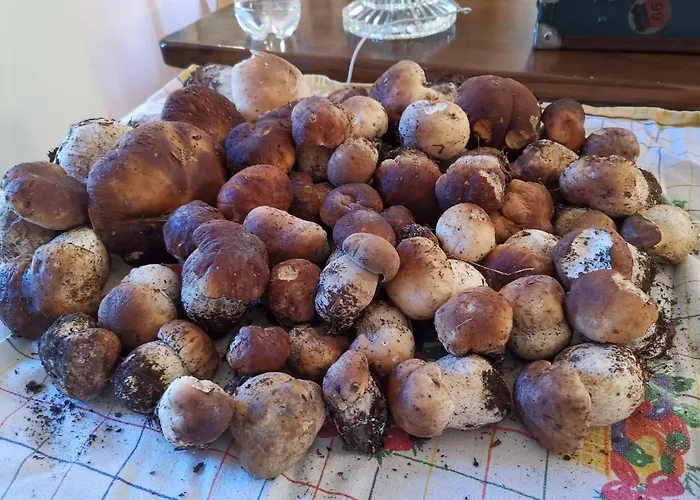 Taro Santa Maria del Taro