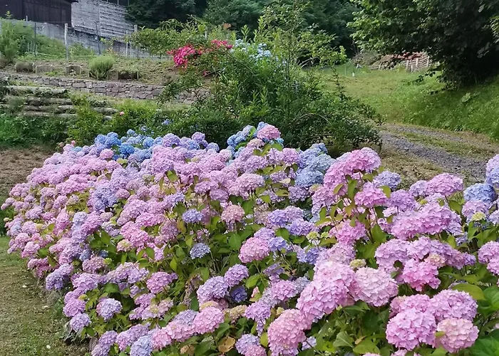 아파트 Taro Santa Maria del Taro