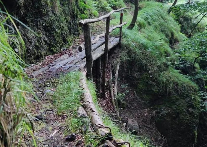 Taro Santa Maria del Taro