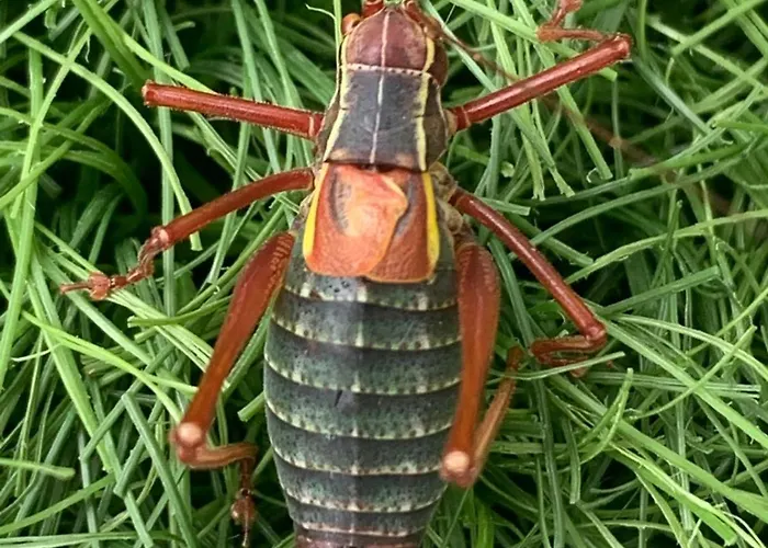 Taro Lägenhet Santa Maria del Taro